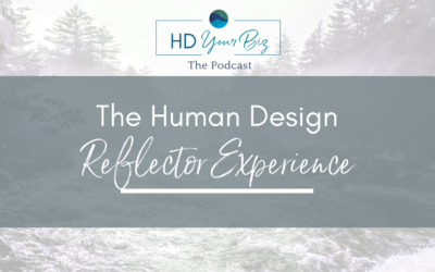 The Human Design Reflector in Business