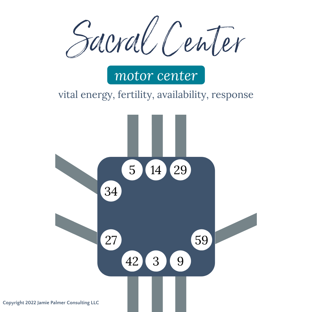 sacral center human design