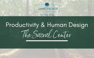 Human Design and Productivity