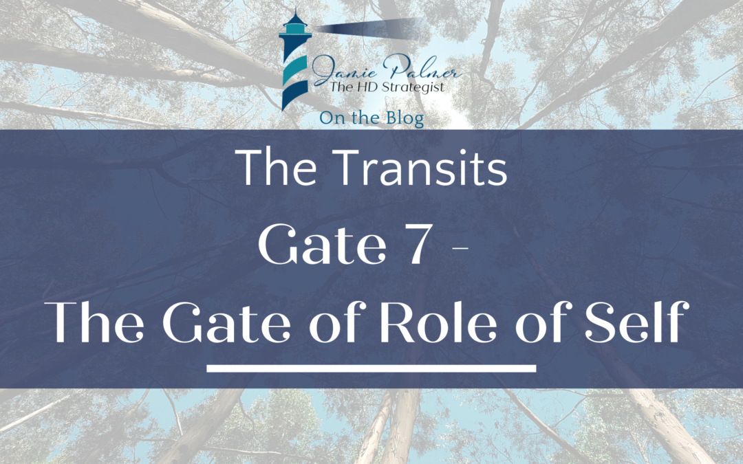 Human Design Gate 7 – The Gate of the Role of Self