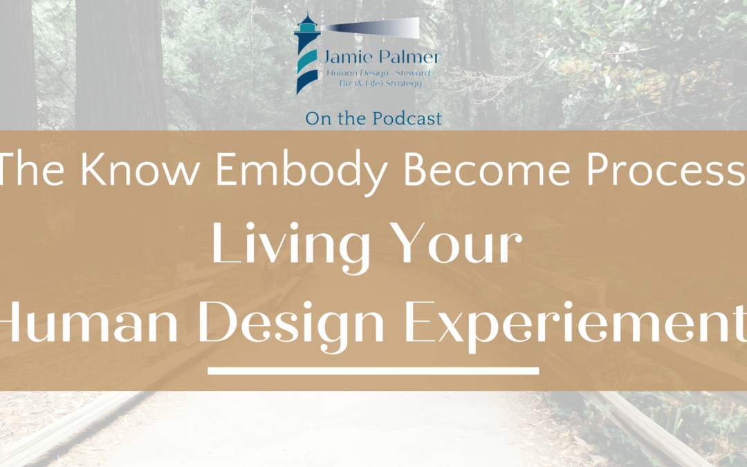 Living Your Human Design Experiment