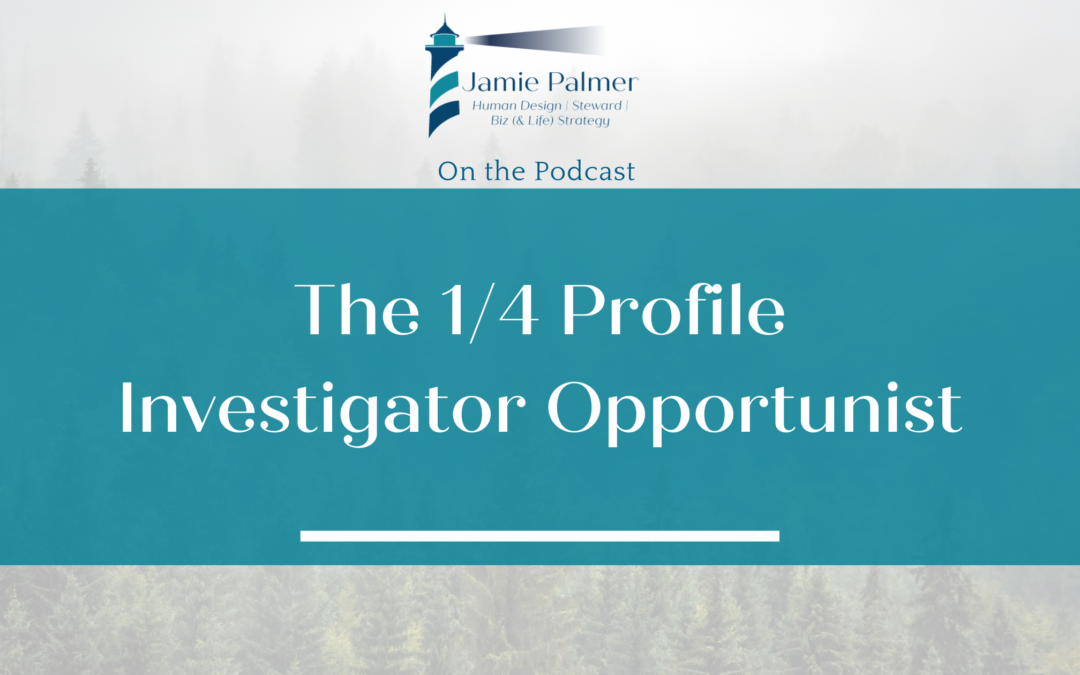 The 1/4 Investigator Opportunist Profile in Human Design