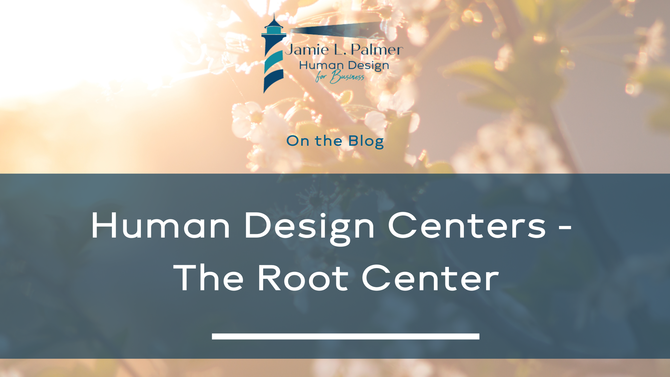 Human Design Centers - The Root Center - Jamie Palmer Human Design For ...