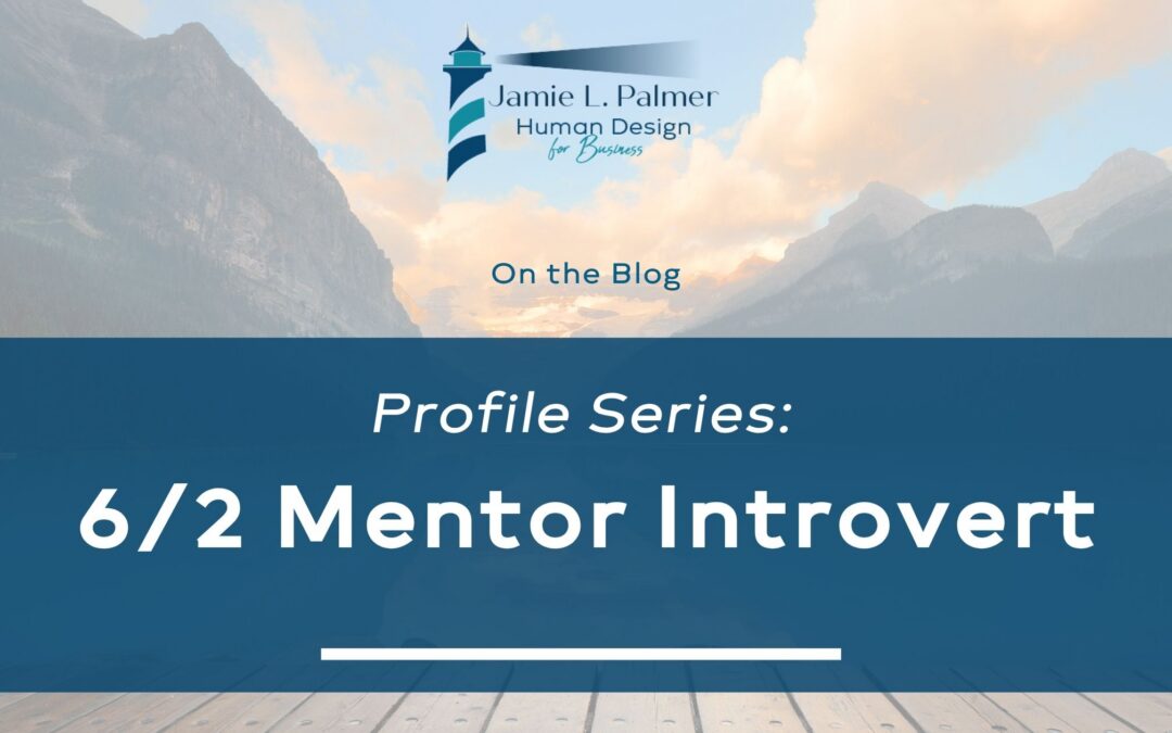 6/2 Role Model Hermit Profile In Human Design For Business